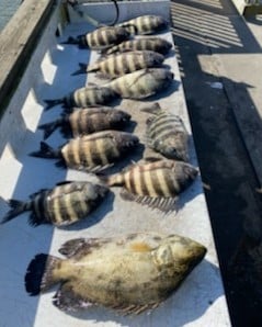 Redfish Fishing in St. Augustine, Florida