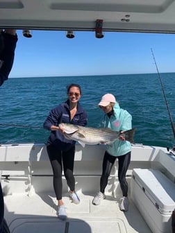 Striped Bass fishing in Montauk, New York