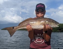 Redfish fishing in St. Petersburg, Florida