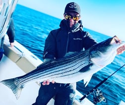 Striped Bass fishing in Bourne, Massachusetts