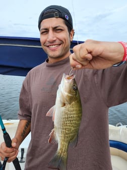 Fishing in Fort Myers Beach, Florida