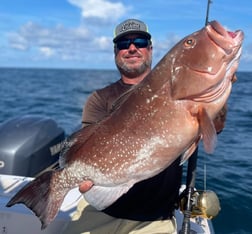 Red Snapper fishing in Clearwater, Florida