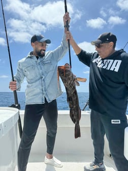 Fishing in San Diego, California