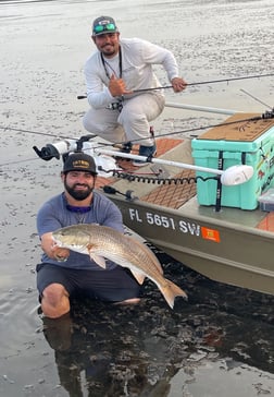 Mangrove Snapper fishing in Holmes Beach, Florida