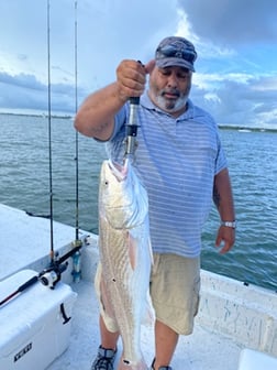 Redfish fishing in St. Augustine, Florida