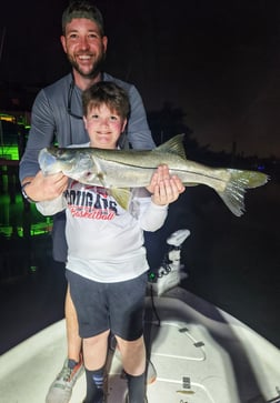 Snook Fishing in St. Petersburg, Florida