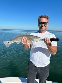 Fishing in Sarasota, Florida