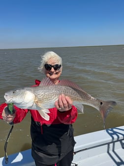 Redfish Fishing in Galveston, Texas