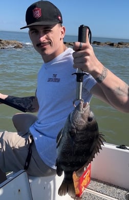 Sheepshead Fishing in Galveston, Texas