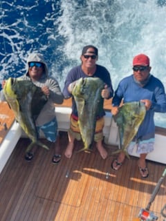 Mahi Mahi / Dorado fishing in Cabo San Lucas, Baja California Sur