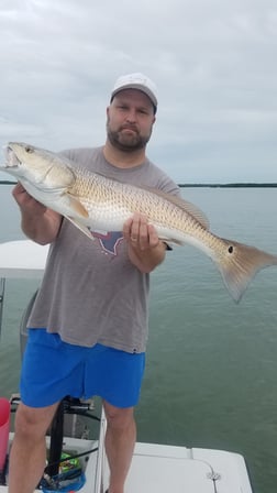 Redfish Fishing in Clearwater, Florida