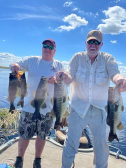 Largemouth Bass Fishing in Lake Okeechobee, Florida