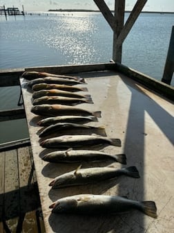 Fishing in Port Aransas, Texas