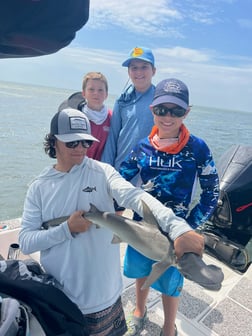 Bonnethead Shark Fishing in Holmes Beach, Florida