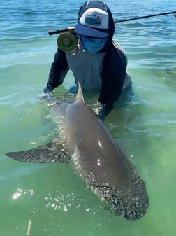 Bonefish fishing in Tavernier, Florida