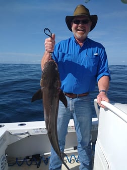 Blacktip Shark Fishing in Daytona Beach, Florida