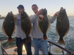 Halibut Fishing in San Diego, California