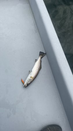 Speckled Trout / Spotted Seatrout Fishing in Santa Rosa Beach, Florida