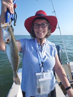 Speckled Trout / Spotted Seatrout fishing in Galveston, Texas