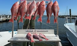 Fishing in Biloxi, Mississippi