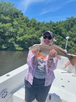 Fishing in Tampa, Florida