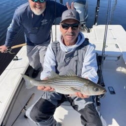 Striped Bass Fishing in Trails End Road, Wilmington, N, North Carolina