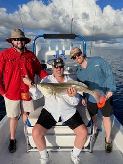 Redfish, Speckled Trout / Spotted Seatrout fishing in Port Isabel, Texas