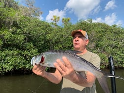 Tarpon Fishing in Jupiter, Florida