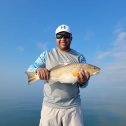 Redfish Fishing in New Orleans, Louisiana