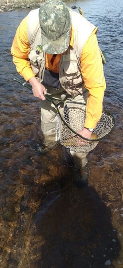 Brown Trout fishing in Littleton, Colorado