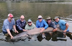 Sturgeon fishing in Riggins, Idaho