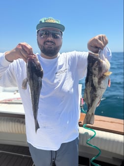 Fishing in Los Angeles, California