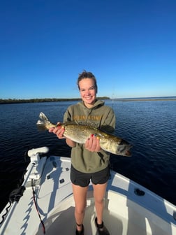 Fishing in Tampa, Florida