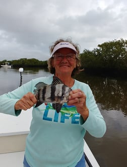 Speckled Trout / Spotted Seatrout Fishing in St. Augustine, Florida