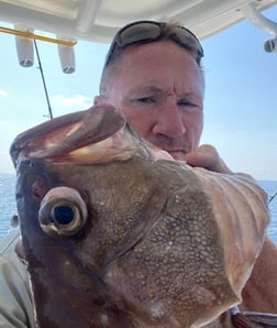 Red Grouper Fishing in Key West, Florida