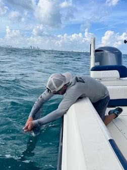 Fishing in Miami, Florida