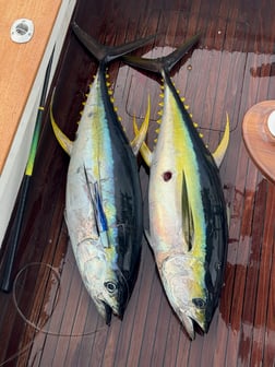 Fishing in Kailua-Kona, Hawaii