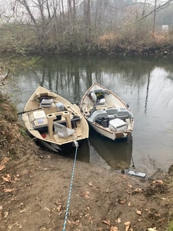 Fishing in Leicester, North Carolina