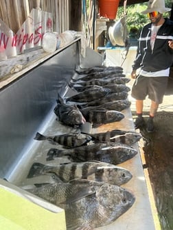 Fishing in Biloxi, Mississippi