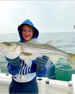 Striped Bass Fishing in Dennis, Massachusetts