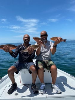 Redfish fishing in St. Petersburg, Florida