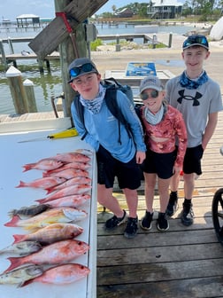 Lane Snapper, Tilefish, Vermillion Snapper Fishing in Gulf Shores, Alabama