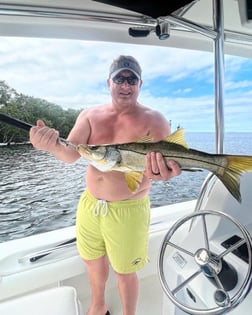 Yellowtail Snapper Fishing in Tavernier, Florida