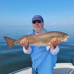 Redfish Fishing in New Orleans, Louisiana