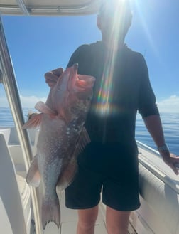 Red Snapper Fishing in Fort Myers, Florida