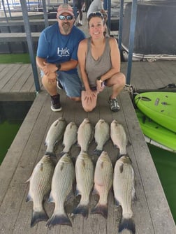 Hybrid Striped Bass Fishing in Runaway Bay, Texas