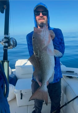 Red Snapper Fishing in Fort Myers, Florida