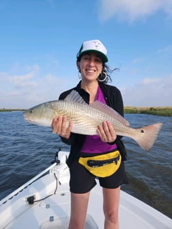 Redfish Fishing in Yscloskey, Louisiana