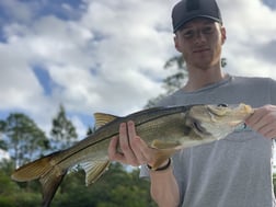 Snook Fishing in Jupiter, Florida