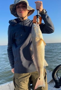 Black Drum Fishing in Galveston, Texas